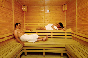 Wellness sauna - sauna