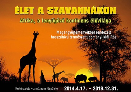 Duna Menti Múzeum Komárom - Élet a szavannákon