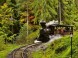 Kysuce railway in forest