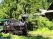 Waldeisenbahn Lokomotive