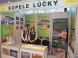 TOURISM EXPO 2015 4