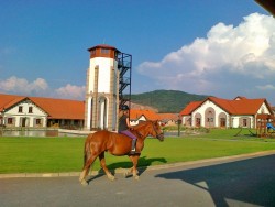 Masarykovov Dvor - Equestrian and Horseback Riding area Vígľaš