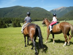 Horse Riding area Salaš Žiar