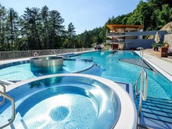 Thermal baths ZELENÁ ŽABA Trenčianske Teplice