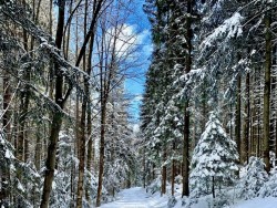 Zimní wellness pobyt ve Slovenském ráji  Smižany