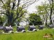 Animal Park - Moose farm #5