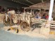 Agrokomplex Nitra #12