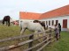 Agrokomplex Nitra #15