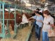 Agrokomplex Nitra #17