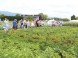 Agrokomplex Nitra #19