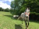 Anima Equus - Jízda na koni
