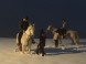 Anima Equus - Horse riding #10