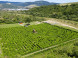 Devil's Rock Hedge Maze