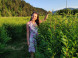 Devil's Rock Hedge Maze #9