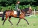 Darkona Horseback Riding Area #3
