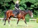 Darkona Horseback Riding Area #9