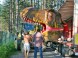 Dino Adventure & Rope park #2