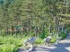 Dino Adventure & Rope park #4