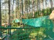 Dino Adventure & Rope park #5
