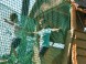 Dino Adventure & Rope park #8