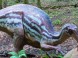 DinoPark Košice #2