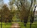 Dubnica Mansion #7