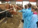 Farm Východná #7