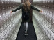 Multium Gallery #4