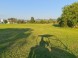 GOLF NEST #2