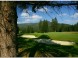 Pole golfowe GRAY BEAR – Tále #6