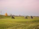 Golf Club Welten #11