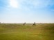 Golf Club Welten #13