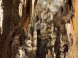 JASOVSKÁ CAVE #9