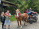 Horse-drawn carriage ride #2