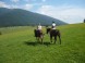 Horse Riding area Salaš Žiar #4