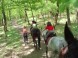 KARLOV DVOR Riding Club #8