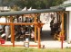 KARLOV DVOR Riding Club #14