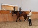 KARLOV DVOR Riding Club #15