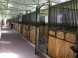 KARLOV DVOR Riding Club #19