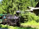 Kysuce-Orava Historical Forest Back Swath Railway #2