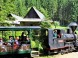Kysuce-Orava Historical Forest Back Swath Railway