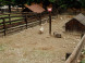 Mini Zoo Klak #16