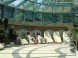 Natural Spa Rajecké Teplice #11