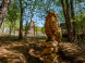 Obrovisko family park #16