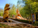Obrovisko family park #18