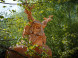 Obrovisko family park #19
