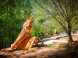 Obrovisko family park #20
