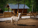 Obrovisko family park #24