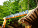 Obrovisko family park #29