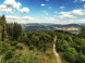 Lookout tower Tábor #4